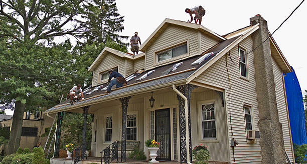 Best Roof Gutter Cleaning  in The Meadows, FL