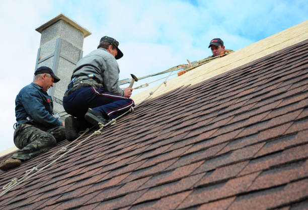 Quick and Trustworthy Emergency Roof Repair Services in The Meadows, FL